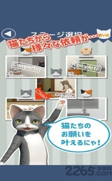 猫的仆人游戏(暂未上线),猫的仆人,猫咪游戏,养成游戏